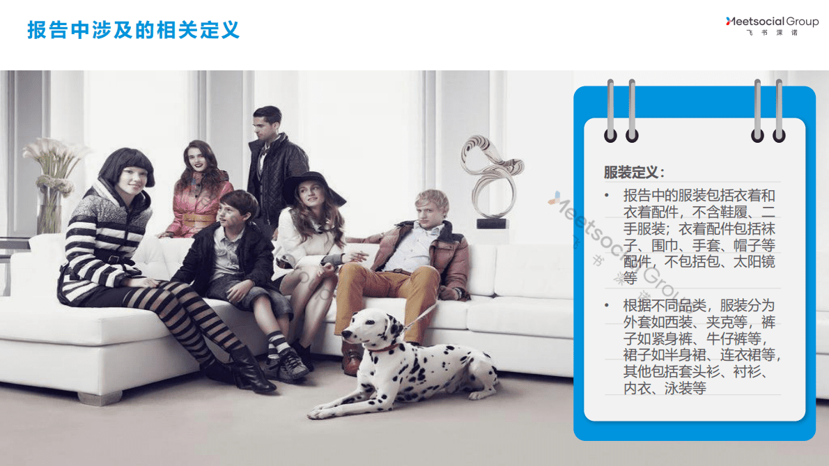 飞书深诺：全球服装行业研究报告 第2页