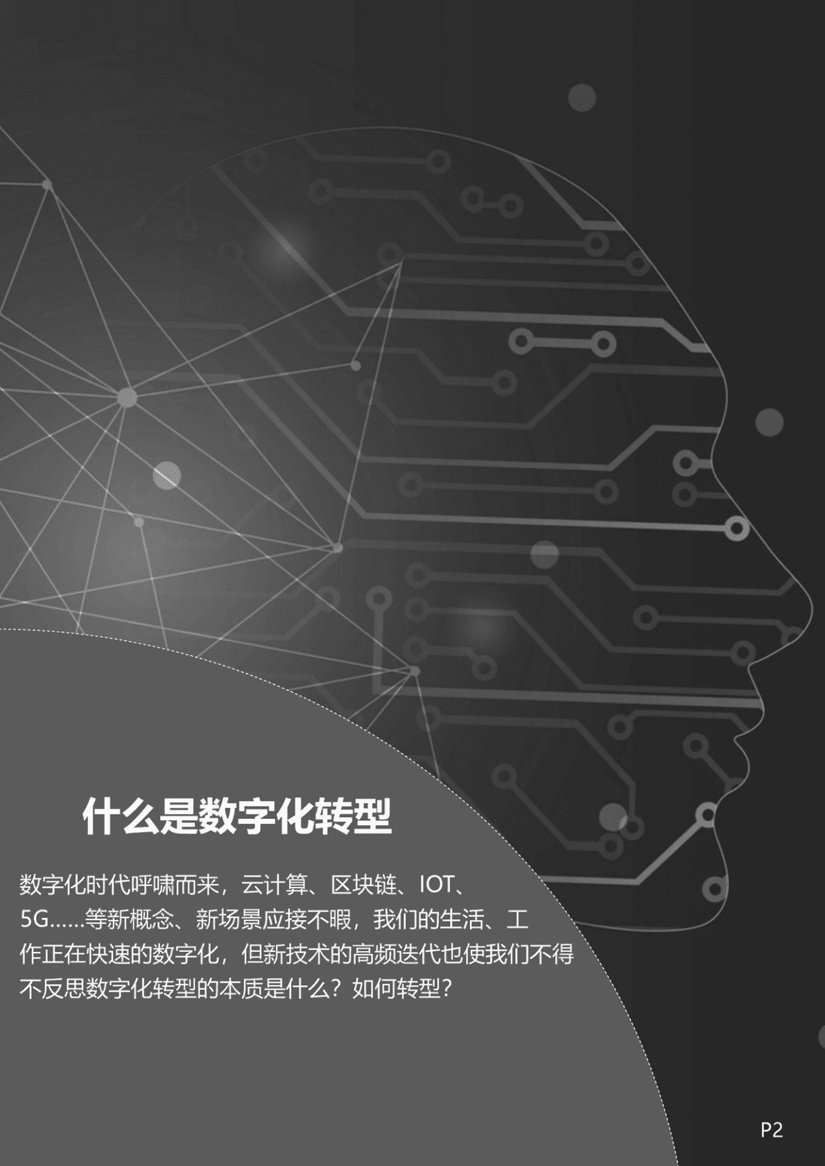 远卓：企业数字化转型之道 第3页