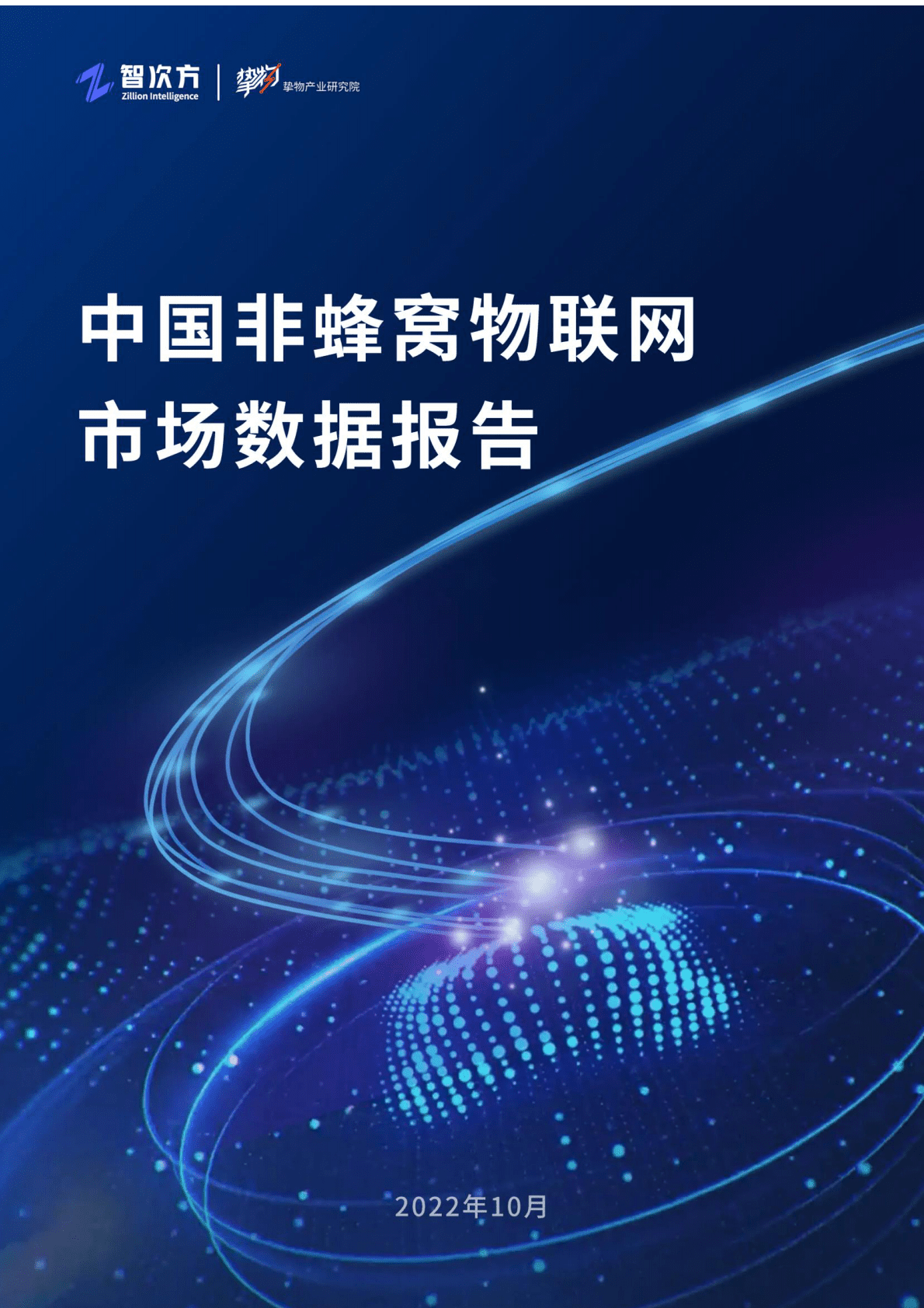 智次方：中国非蜂窝物联网市场数据报告 第1页