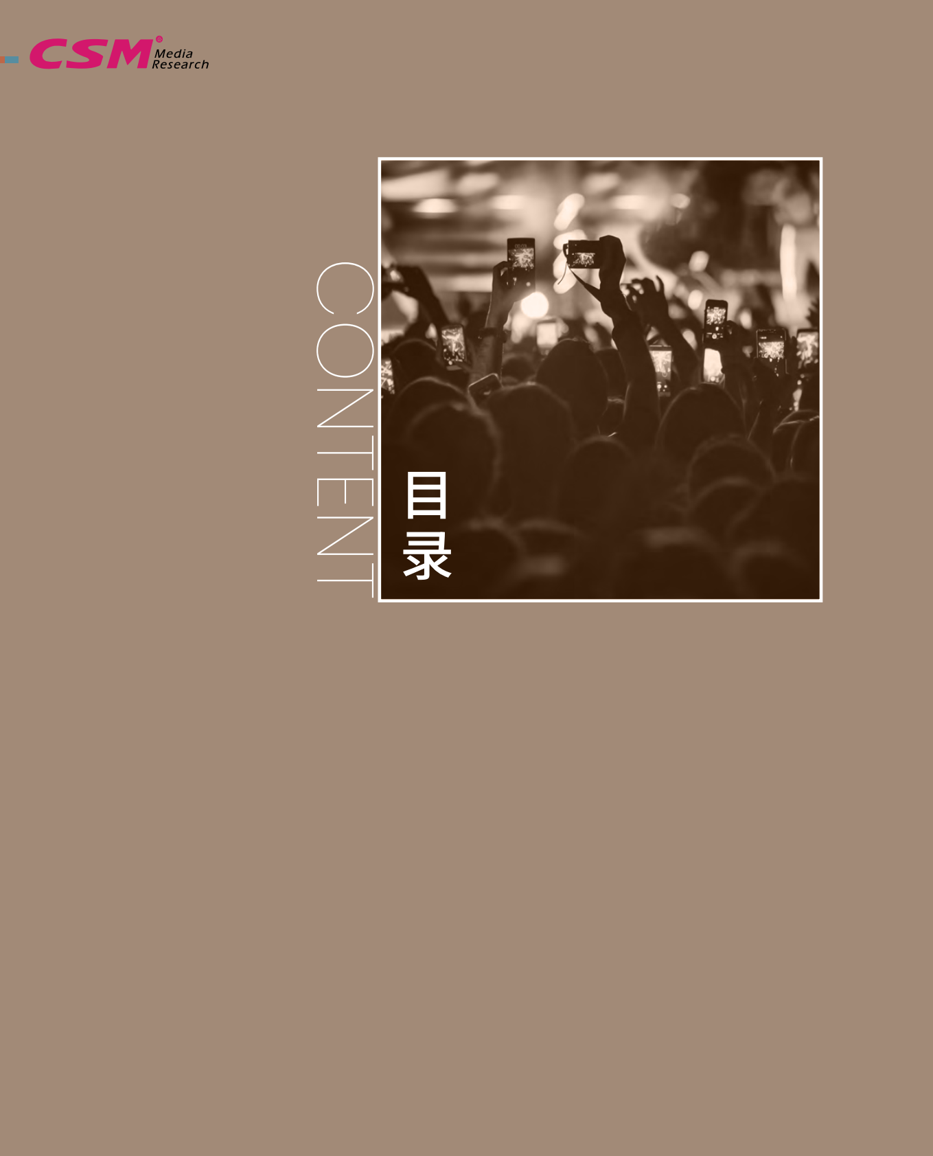 CSM：短视频用户价值研究报告2022 第4页