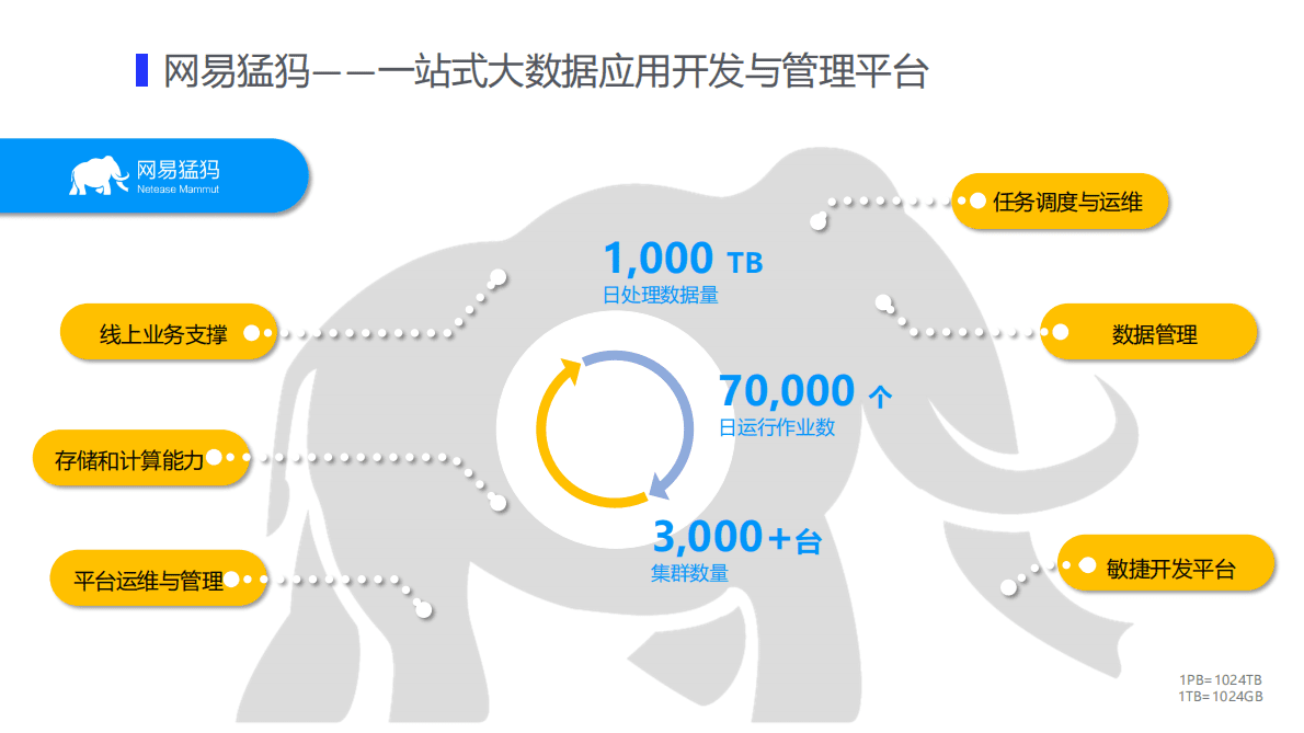 网易大数据：助力企业数字化转型实践 第6页