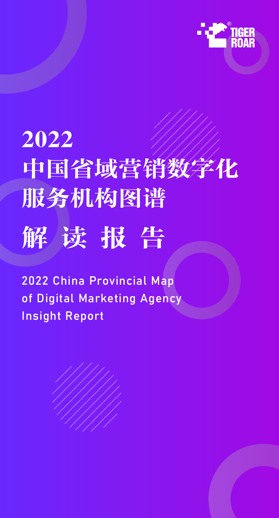 虎啸：2022中国省域营销数字化服务机构图谱解读报告 第1页
