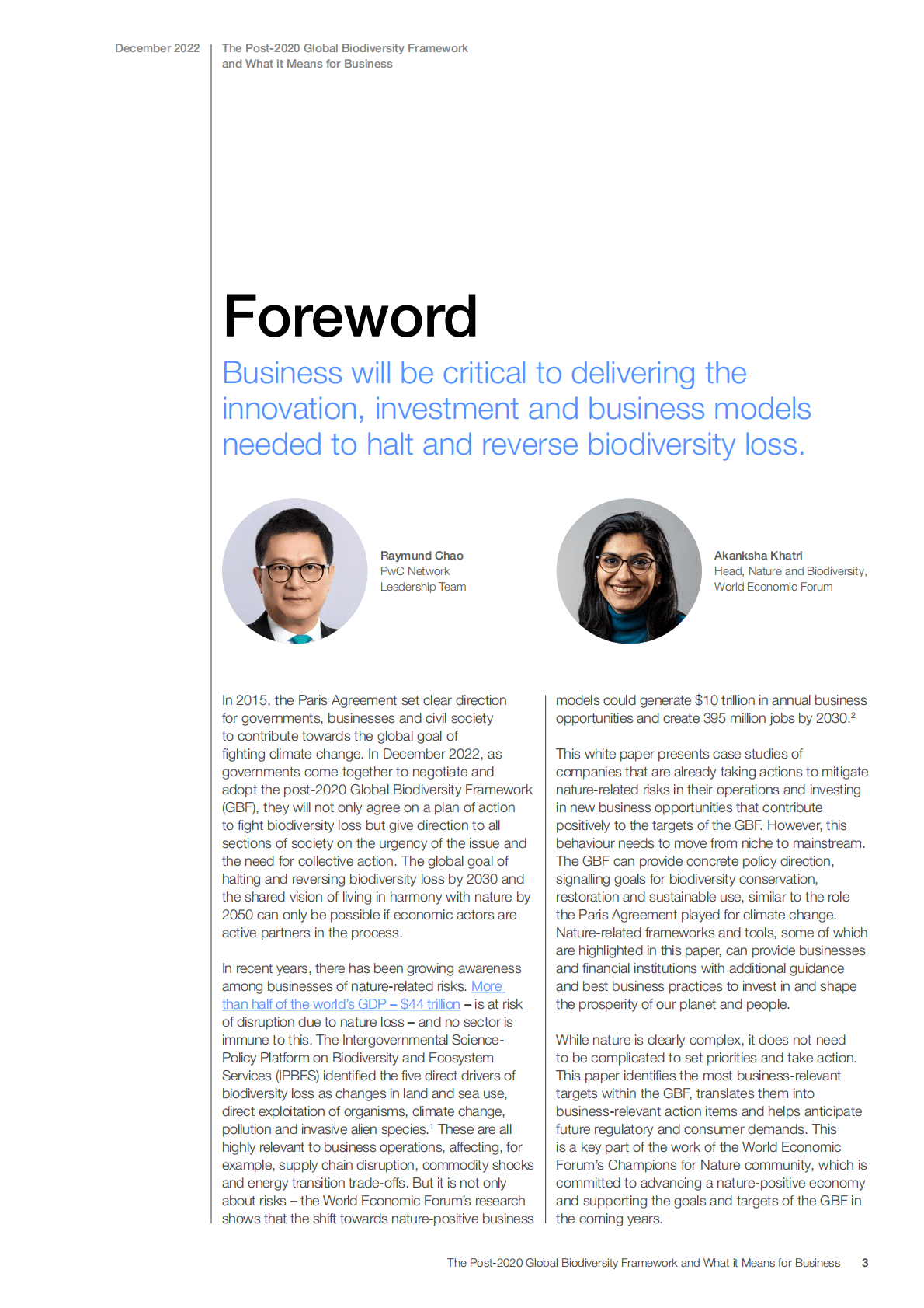 世界经济论坛&普华永道：2020年后全球生物多样性框架及其对企业的意义 第3页