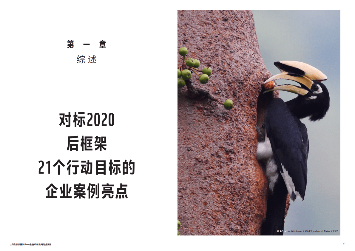 世界自然基金会：人与自然和谐新共识 第4页