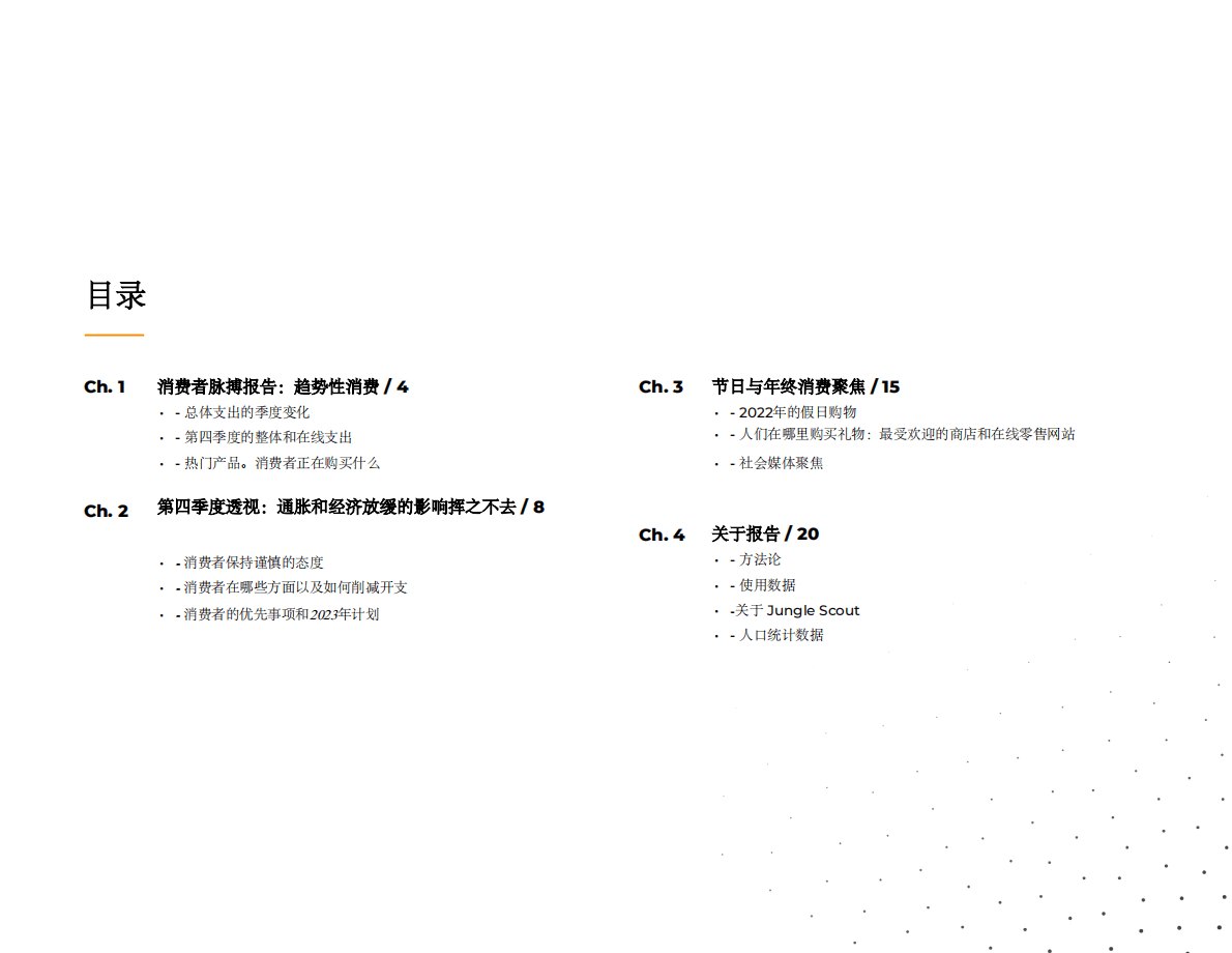 Jungle Scout：2022Q4第四季度消费者趋势报告 第3页