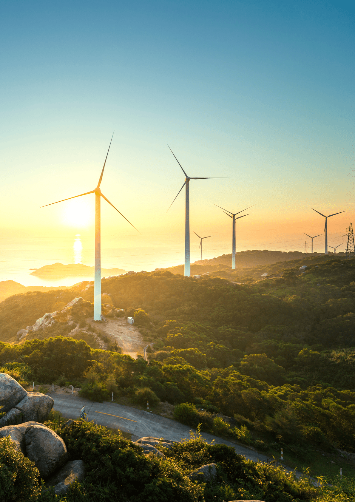 思爱普：数字技术支持能源行业低碳转型白皮书 第3页