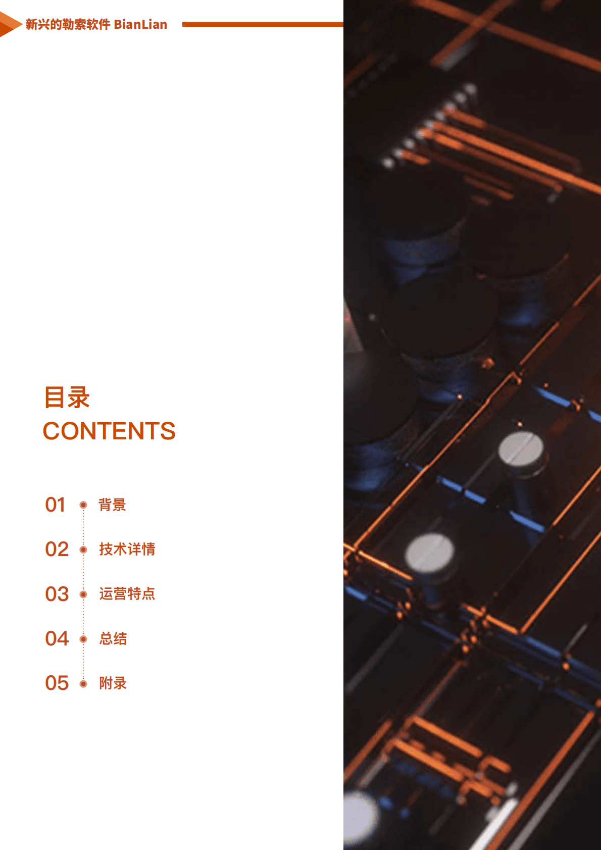 天际友盟：勒索软件系列报告之二丨新兴的勒索软件BianLian 第2页