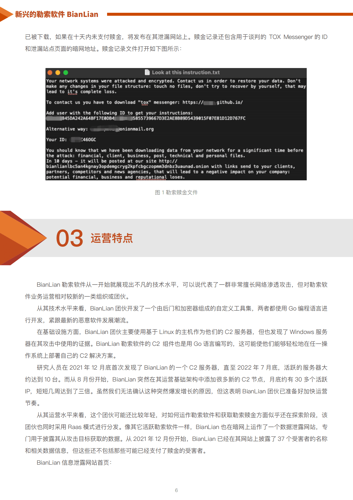 天际友盟：勒索软件系列报告之二丨新兴的勒索软件BianLian 第6页