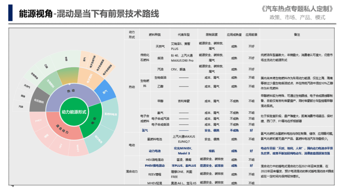 中国汽研：2025年纯电动以外车用动力形式研判 第4页