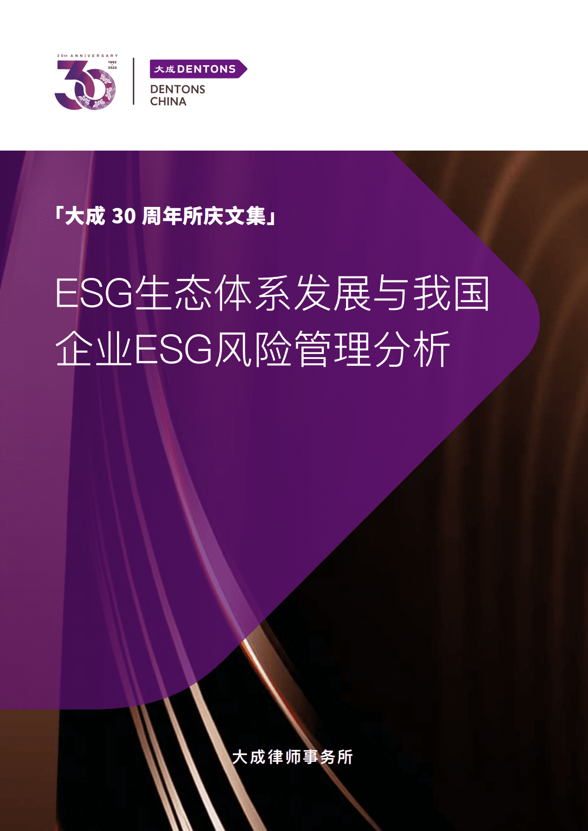 大成Dentons：ESG生态体系发展与我国企业ESG风险管理分析 第1页