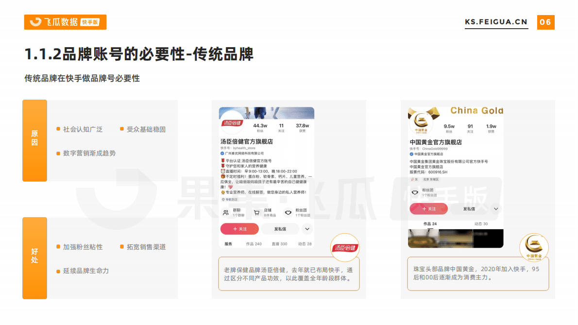 飞瓜数据：快手品牌运营解决方案 第6页