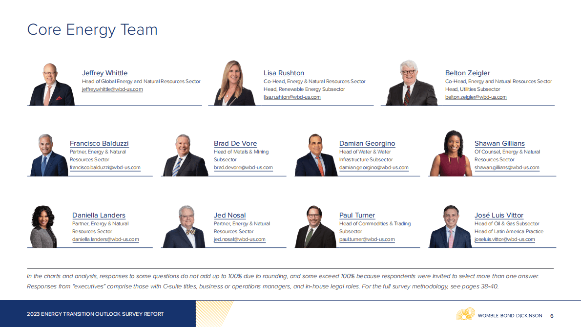 WBD：全球能源转型展望调查报告2023【英文版】 第6页