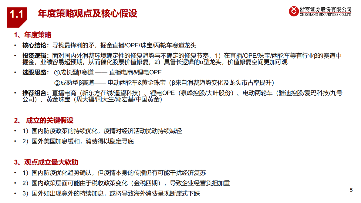 年度策略报告姊妹篇：2023年零售行业风险排雷手册 第5页