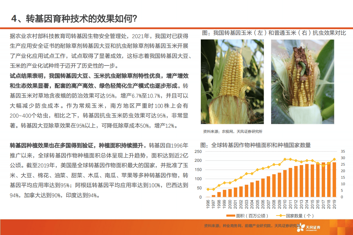 种业行业：生物育种方向坚定，转基因种子商业化落地可期 第6页