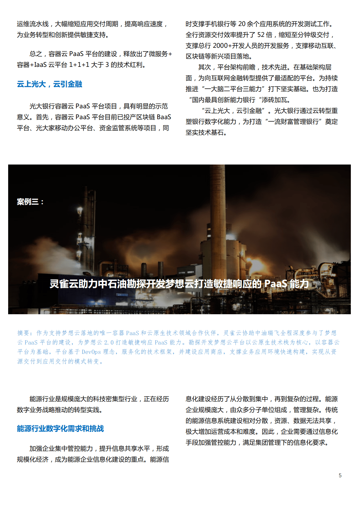 灵雀云：光大银行落地容器云PaaS平台 第5页