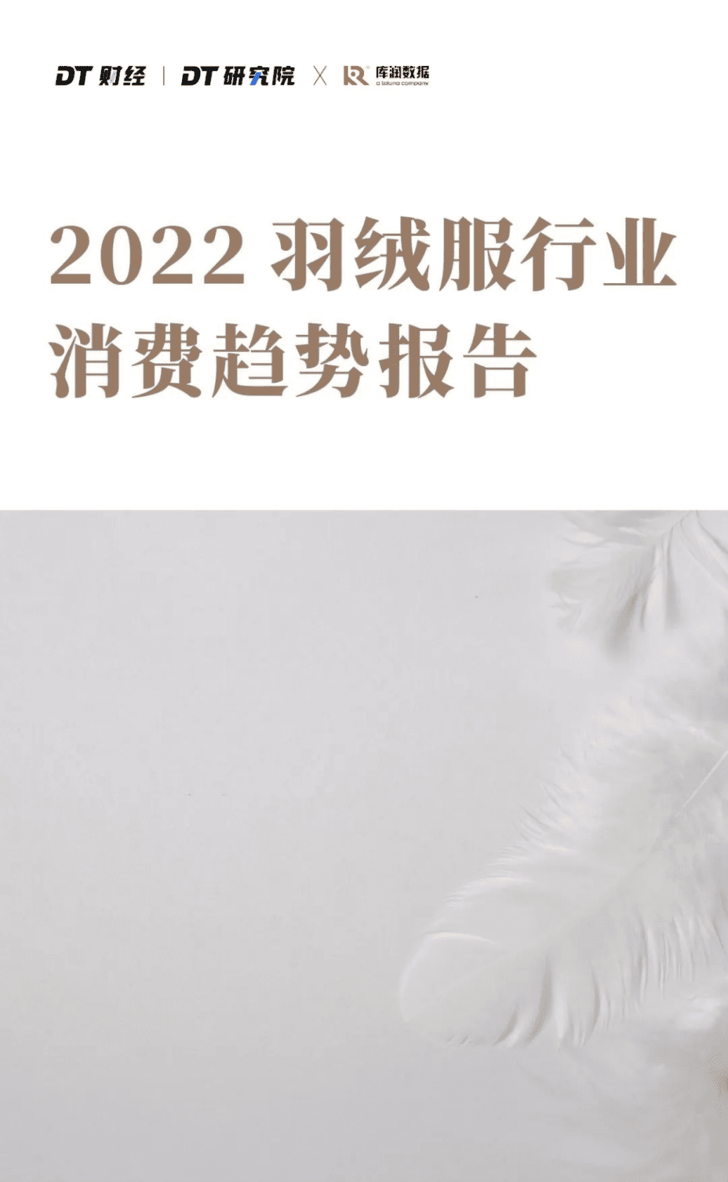 DT财经：2022羽绒服行业消费趋势报告 第1页