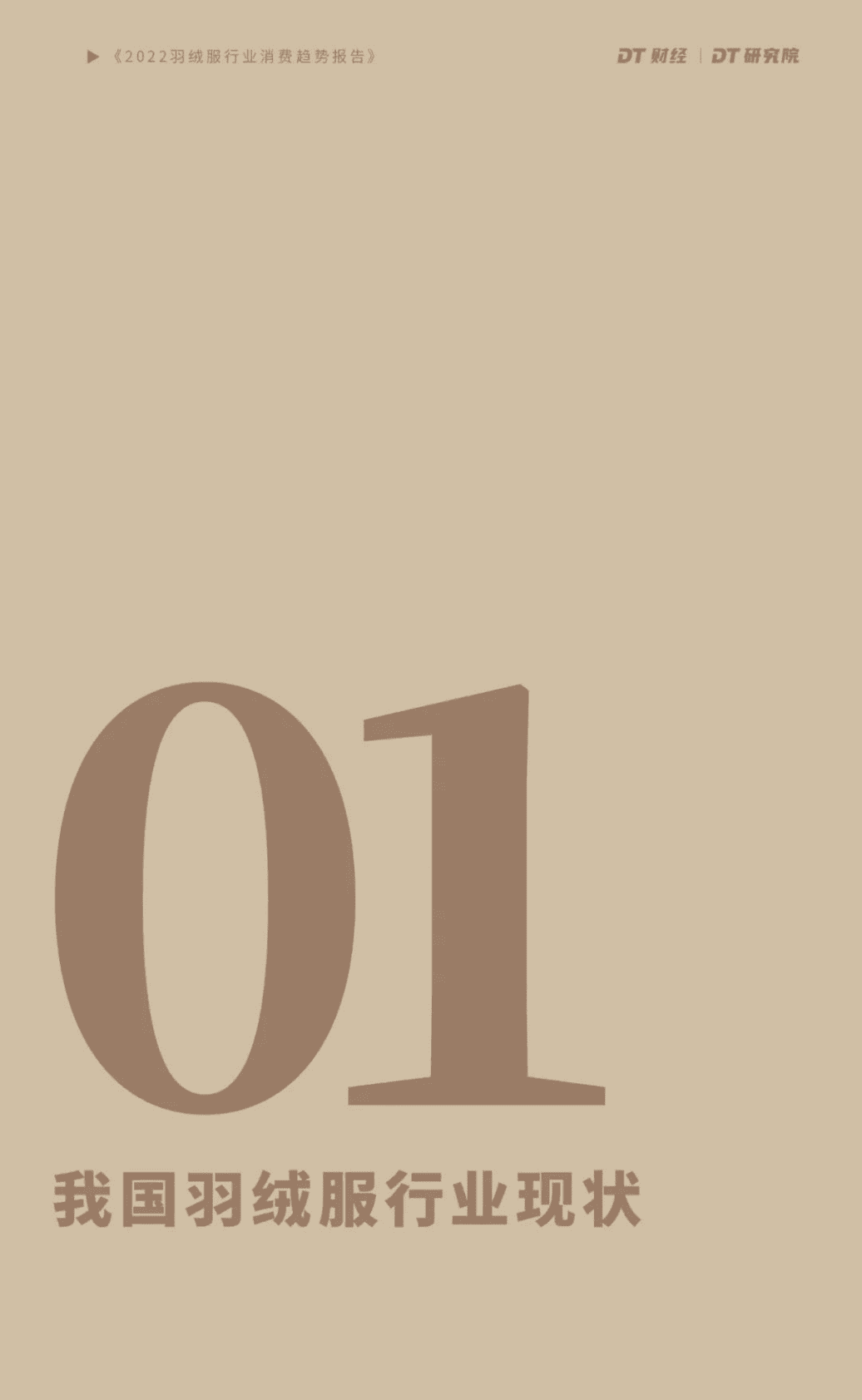 DT财经：2022羽绒服行业消费趋势报告 第5页