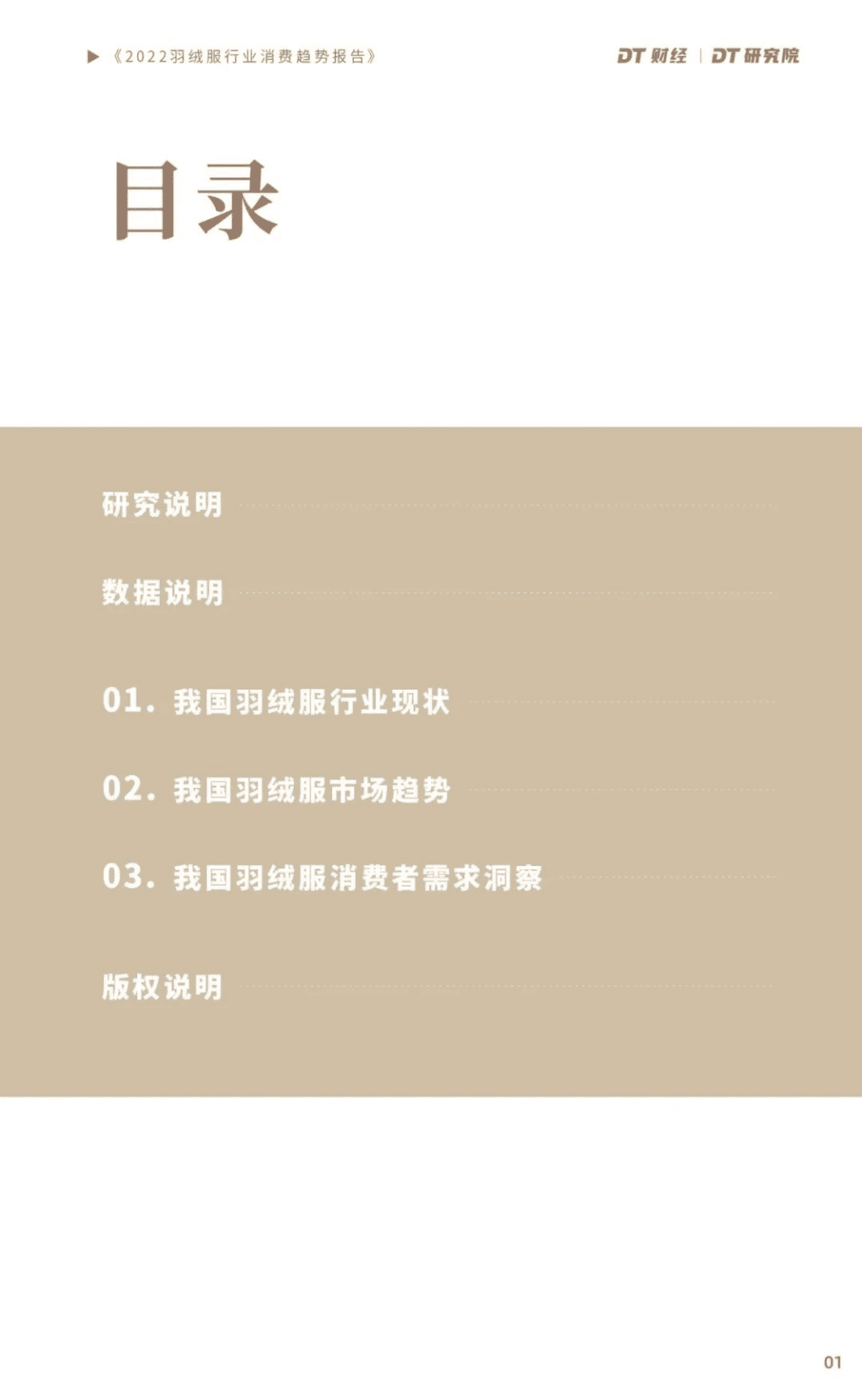 DT财经：2022羽绒服行业消费趋势报告 第2页