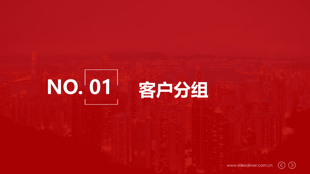 SalesDriver：营销自动化平台如何应用 第5页