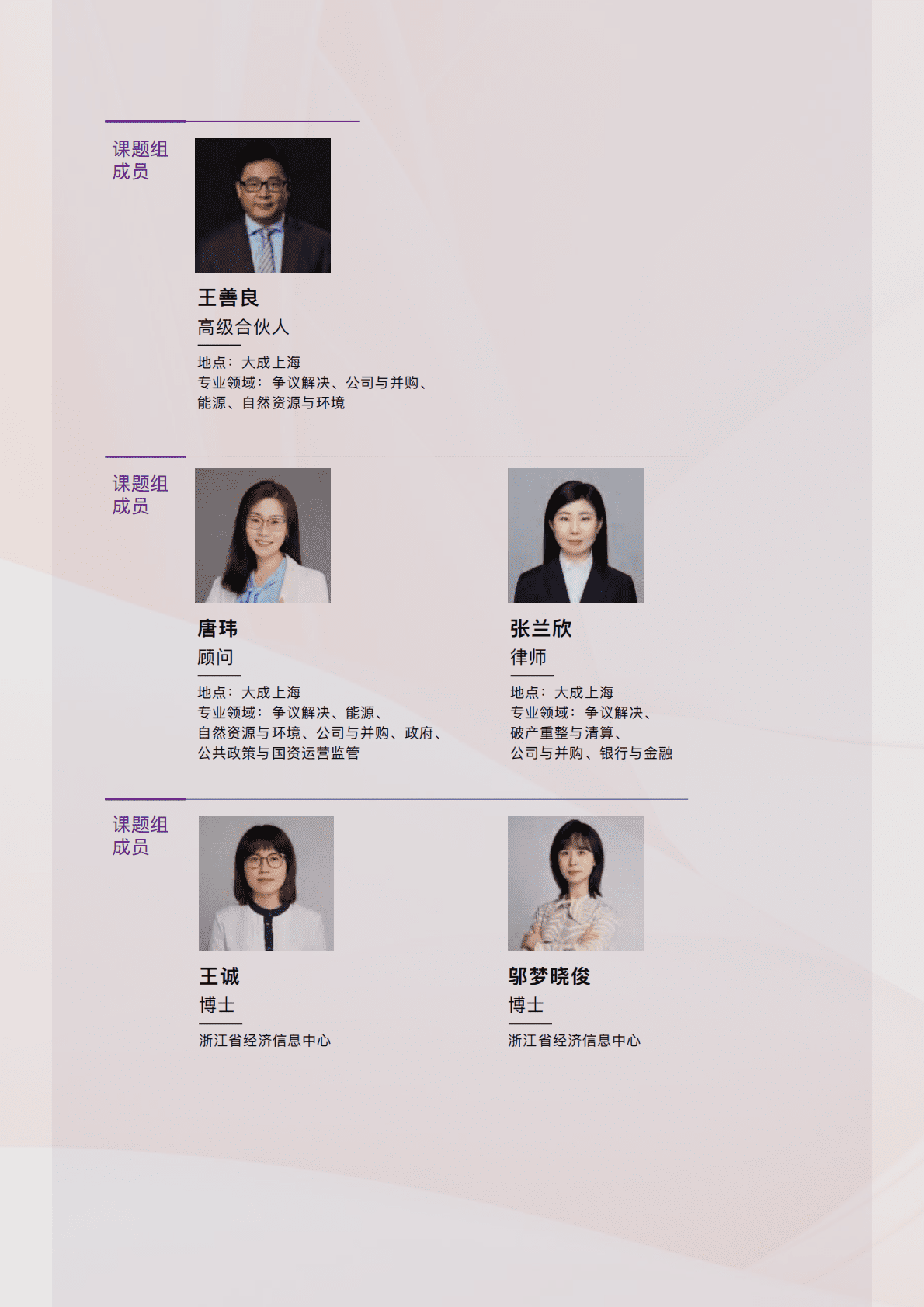 大成Dentons：基于碳效的绿色金融标准构建和应用 第2页