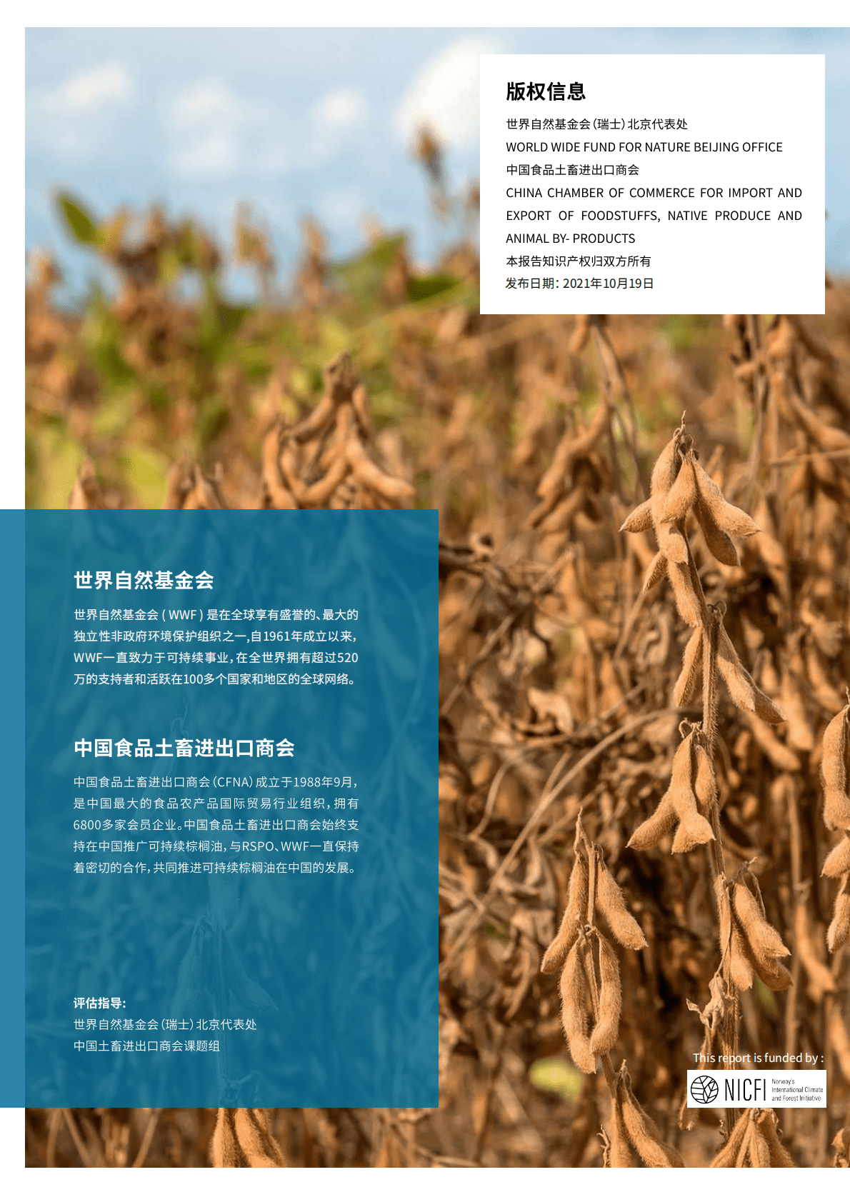 世界自然基金会：中国可持续大豆的机遇与挑战 第2页