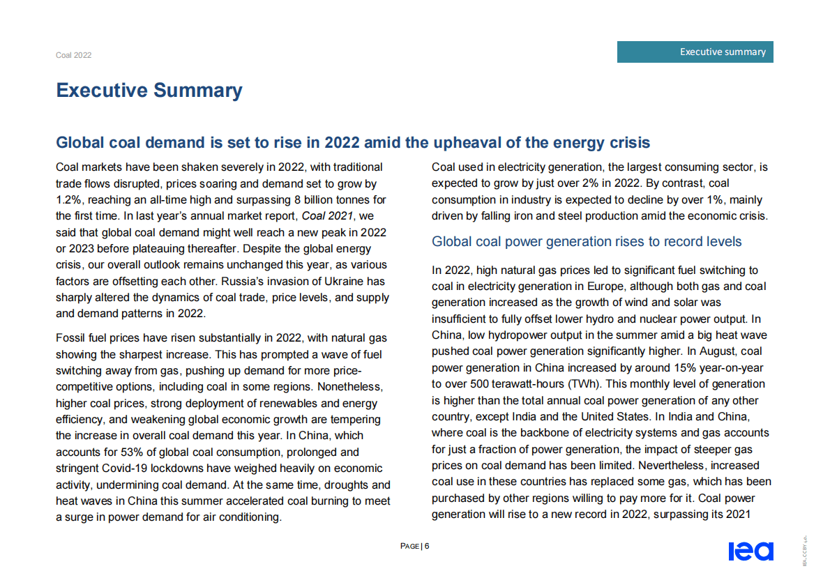 国际能源署（IEA）：煤炭2022&mdash;&mdash;分析和预测至2025【英文版】 第6页