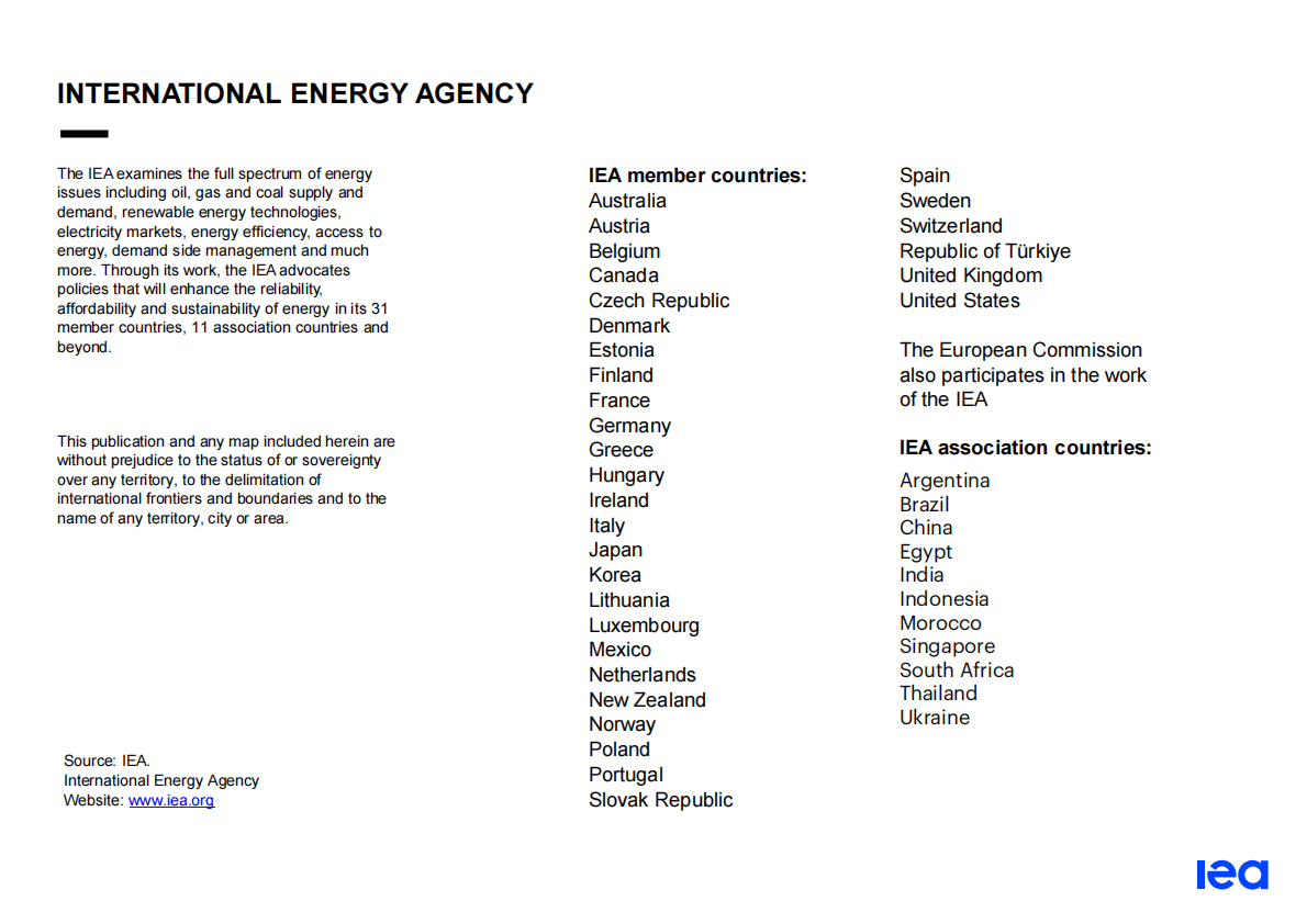 国际能源署（IEA）：煤炭2022&mdash;&mdash;分析和预测至2025【英文版】 第2页
