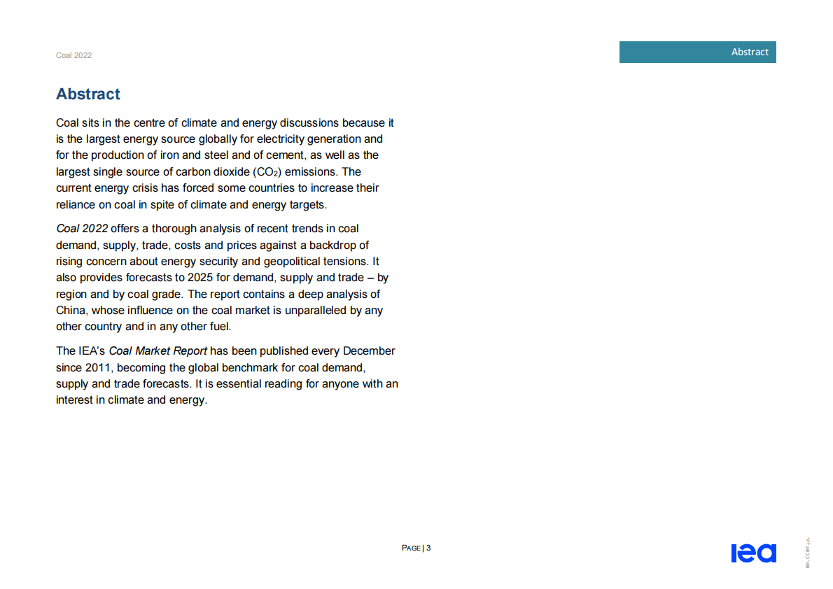 国际能源署（IEA）：煤炭2022&mdash;&mdash;分析和预测至2025【英文版】 第3页