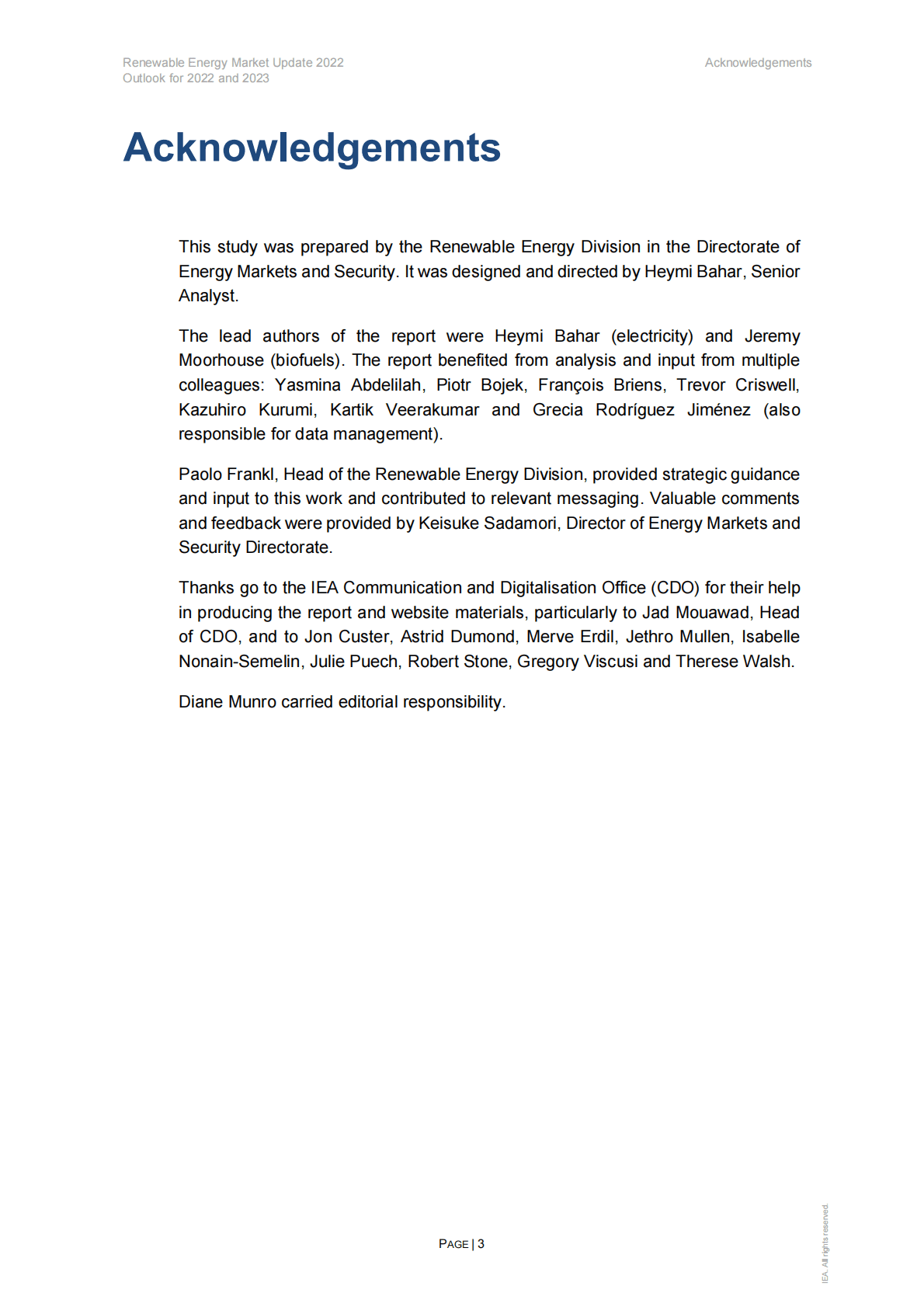 国际能源署IEA：全球可再生能源市场更新2022-2023年展望【英文版】 第4页