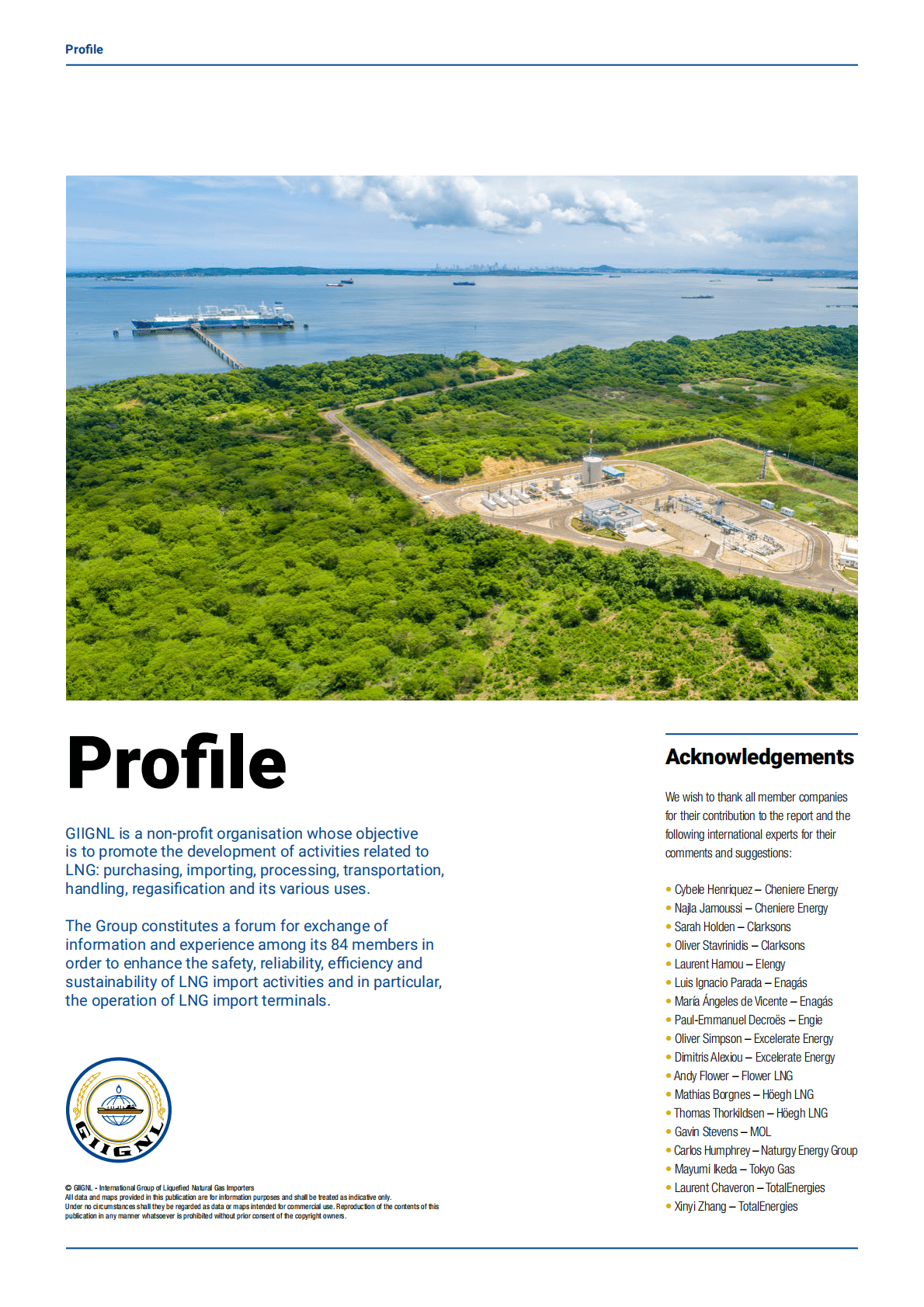 国际液化天然气进口国组织：全球液化天然气行业年度报告2022【英文版】 第2页