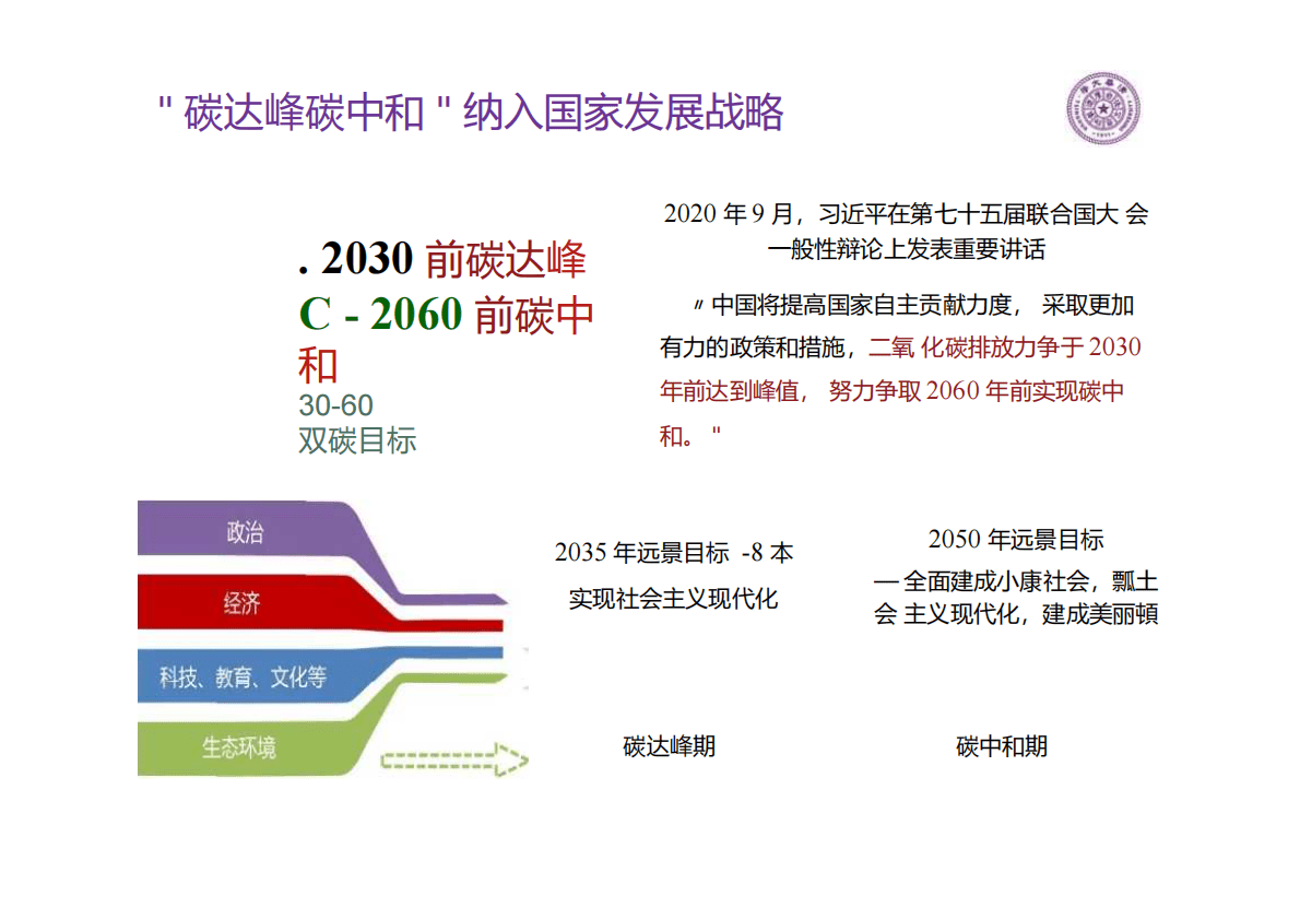 清华大学：碳视角下的电力系统转型 第3页