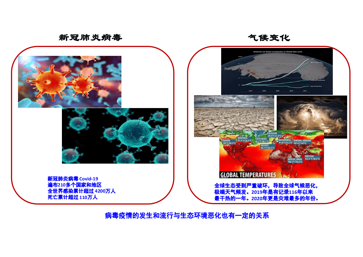 李灿：可再生能源规模化储能&mdash;&mdash;绿色氢能和液态阳光甲醇 第2页