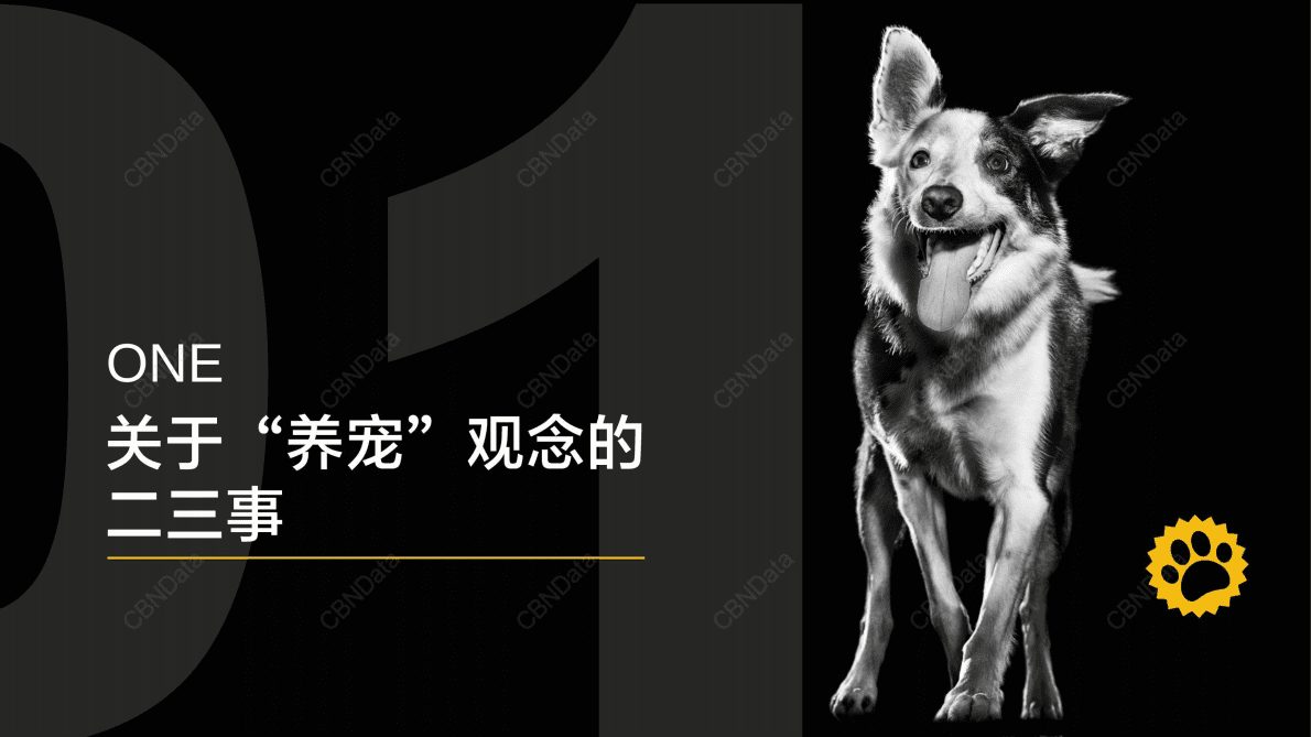 CBNData：2022宠物健康喂养报告 第3页
