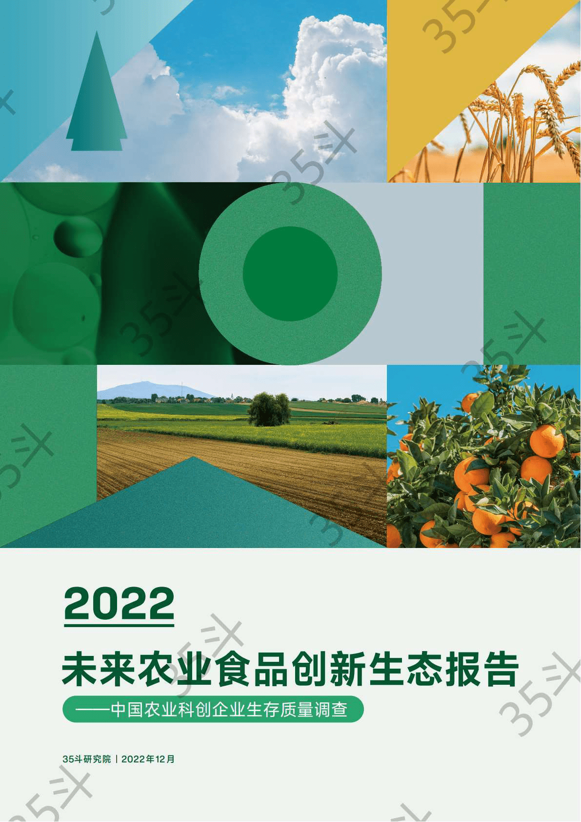 35斗研究院：2022未来农业食品创新生态报告 第1页