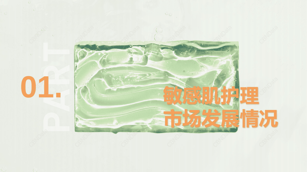 CBNData：2022年中国敏感肌专业护理洞察报告 第3页