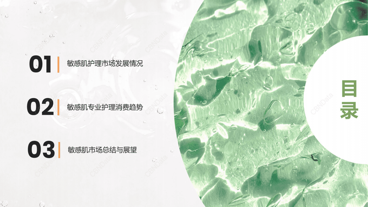 CBNData：2022年中国敏感肌专业护理洞察报告 第2页