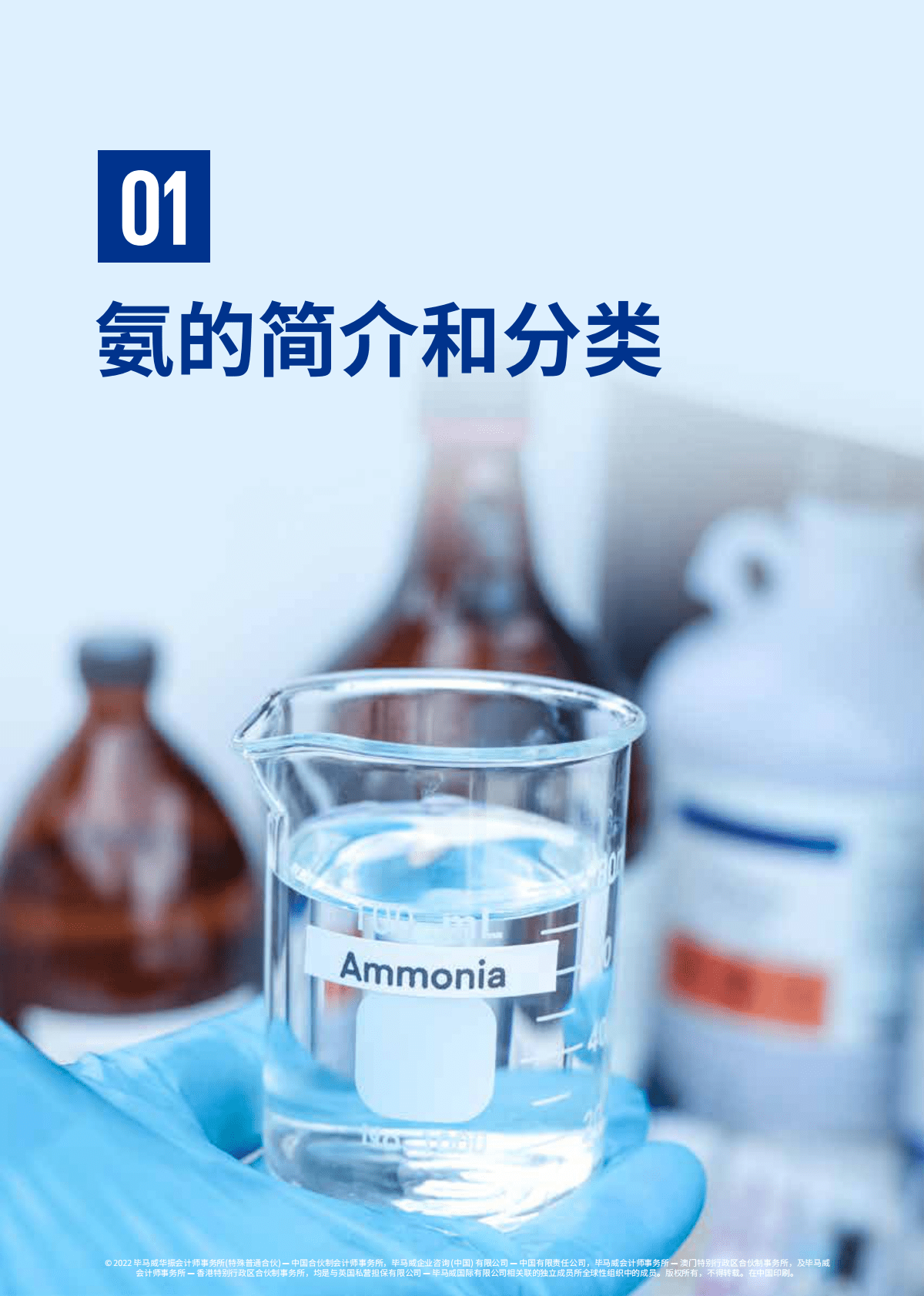 毕马威：固碳、储氢、航运燃料、掺混发电：绿氨行业概览与展望 第6页