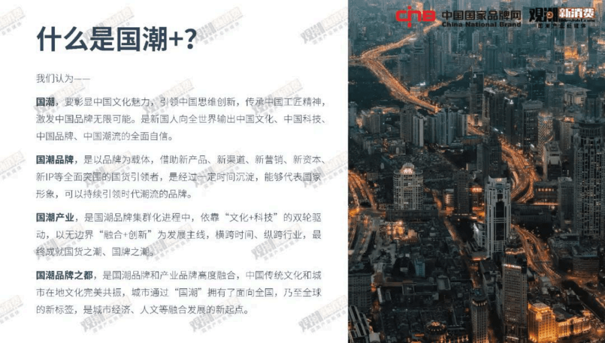 观潮研究院：2022国潮品牌发展洞察报告 第4页