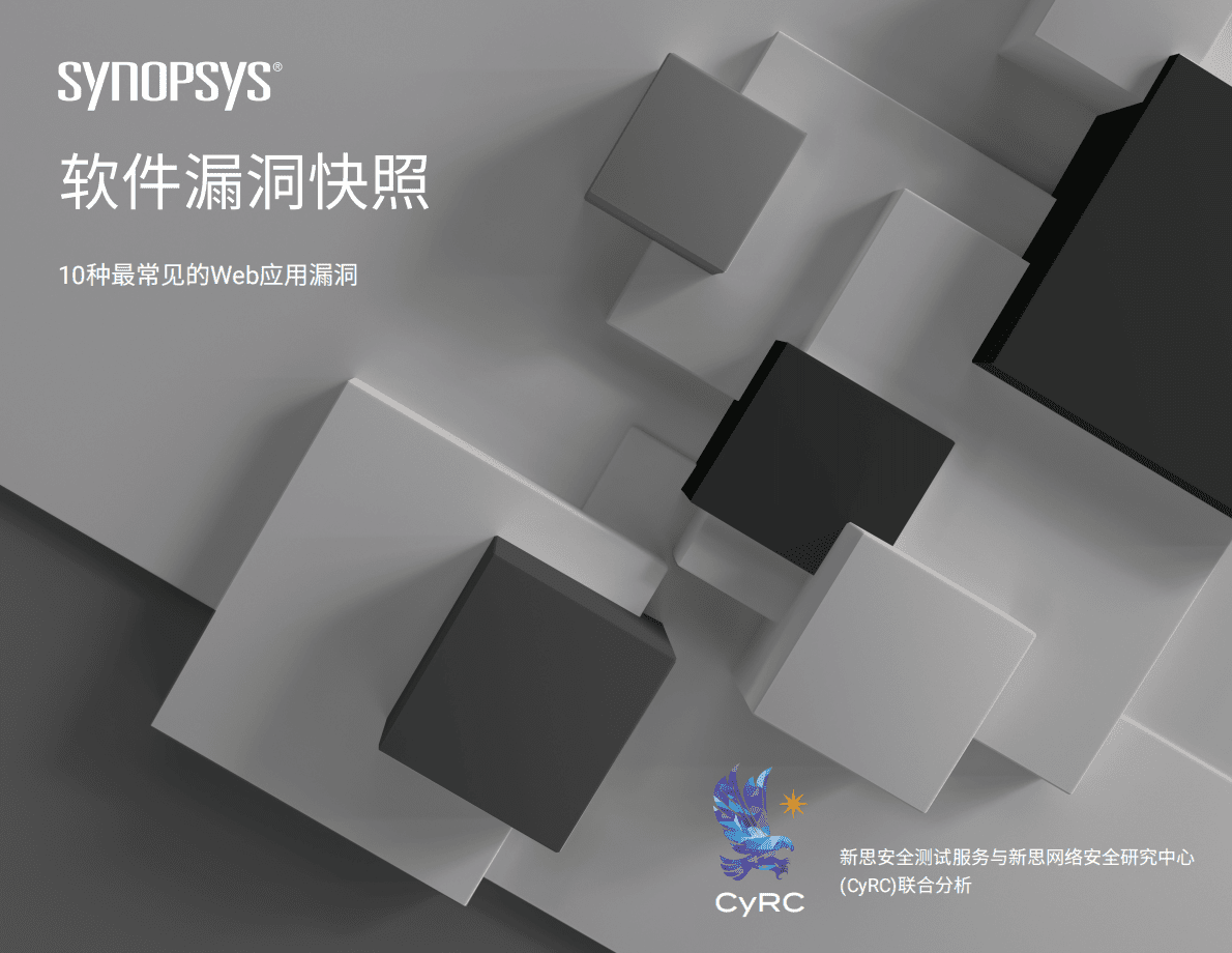 新思科技：2022年软件漏洞快照报告 第1页