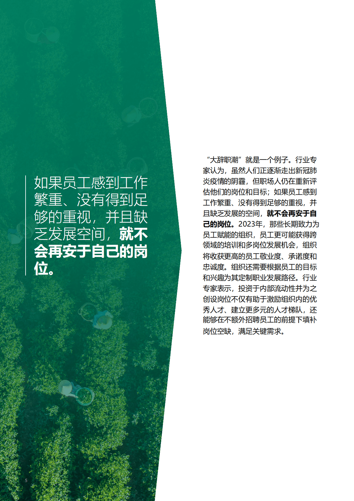 光辉国际：2023全球人才招聘趋势报告 第5页