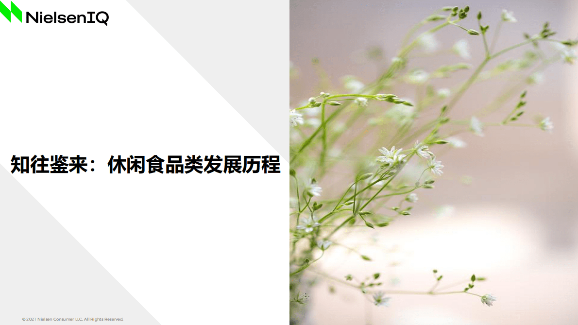 尼尔森IQ：2022年休闲零食行业洞察报告 第5页