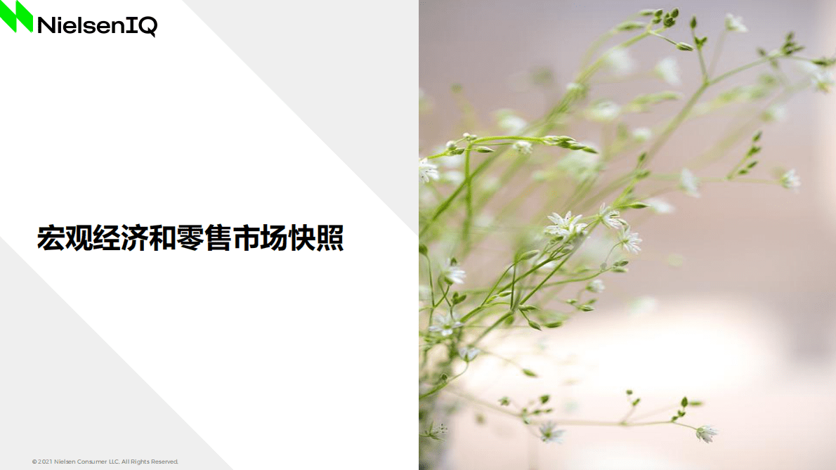 尼尔森IQ：2022年休闲零食行业洞察报告 第2页