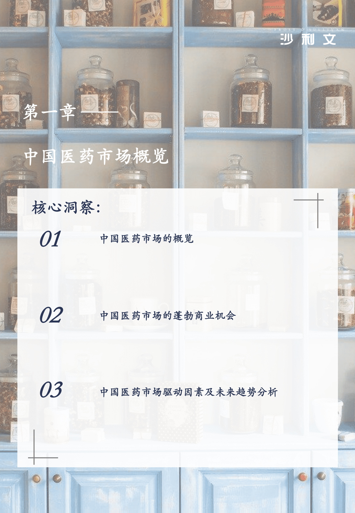 沙利文：2022年中国创新型医药推广服务模式探索白皮书 第4页