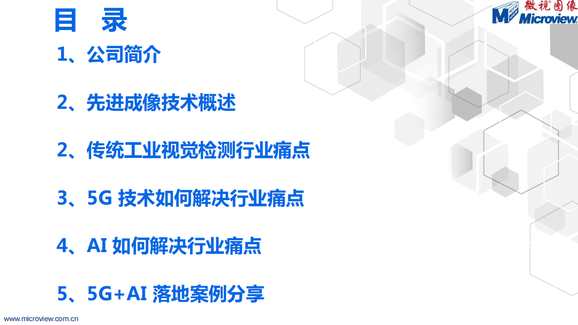 微视新纪元：先进成像技术及AI在工业检测领域的应用-刘伟 第2页
