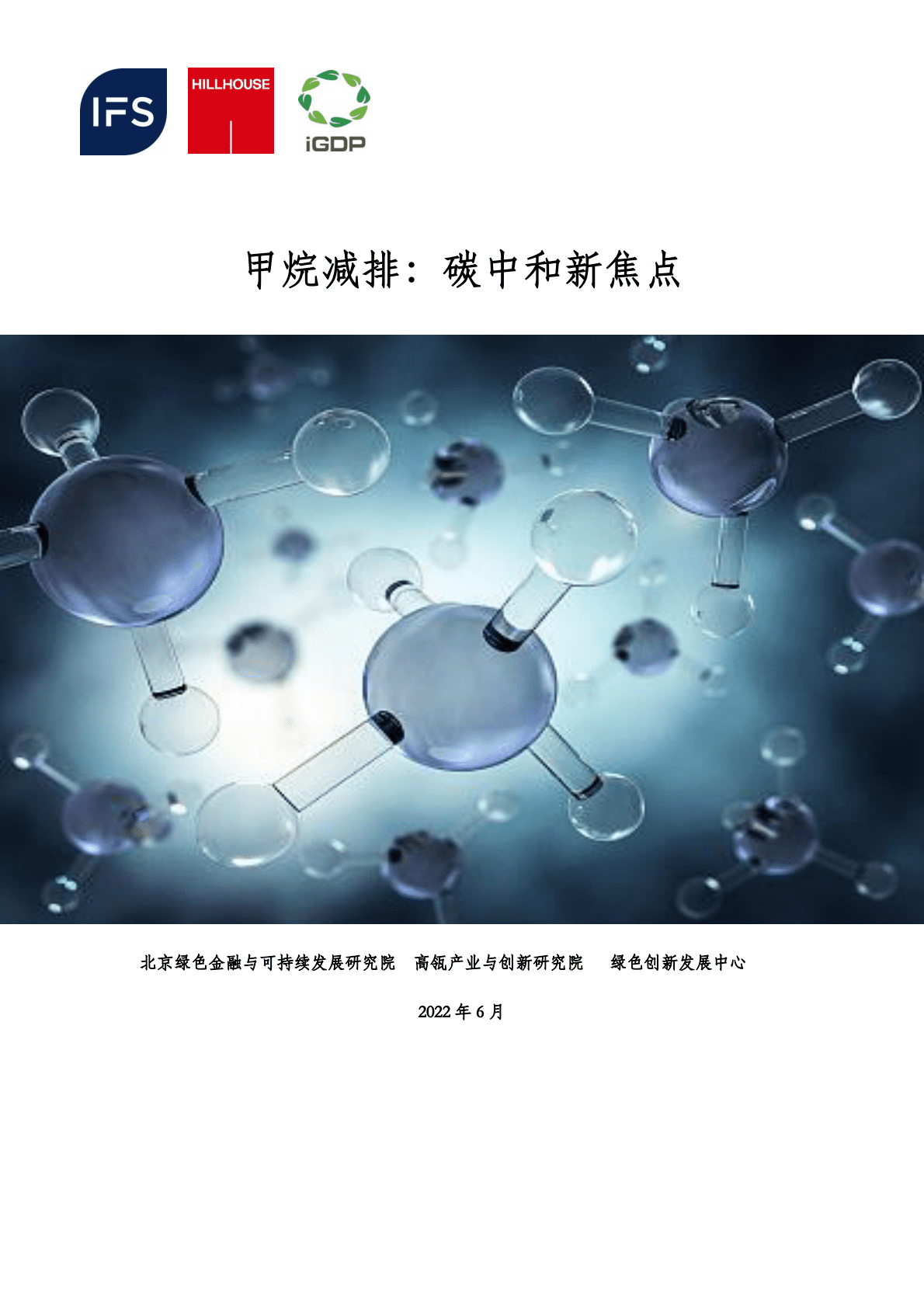 北京绿金院：甲烷减排：碳中和新焦点 第1页