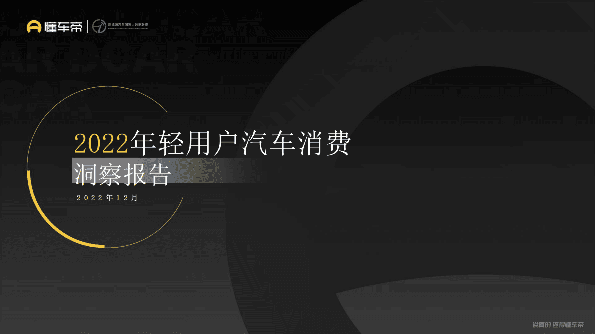 懂车帝：2022年轻用户汽车消费洞察报告 第1页