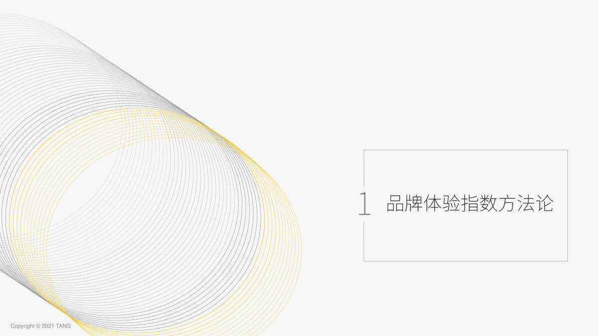 TANG：2022中国咖啡行业品牌体验白皮书 第2页