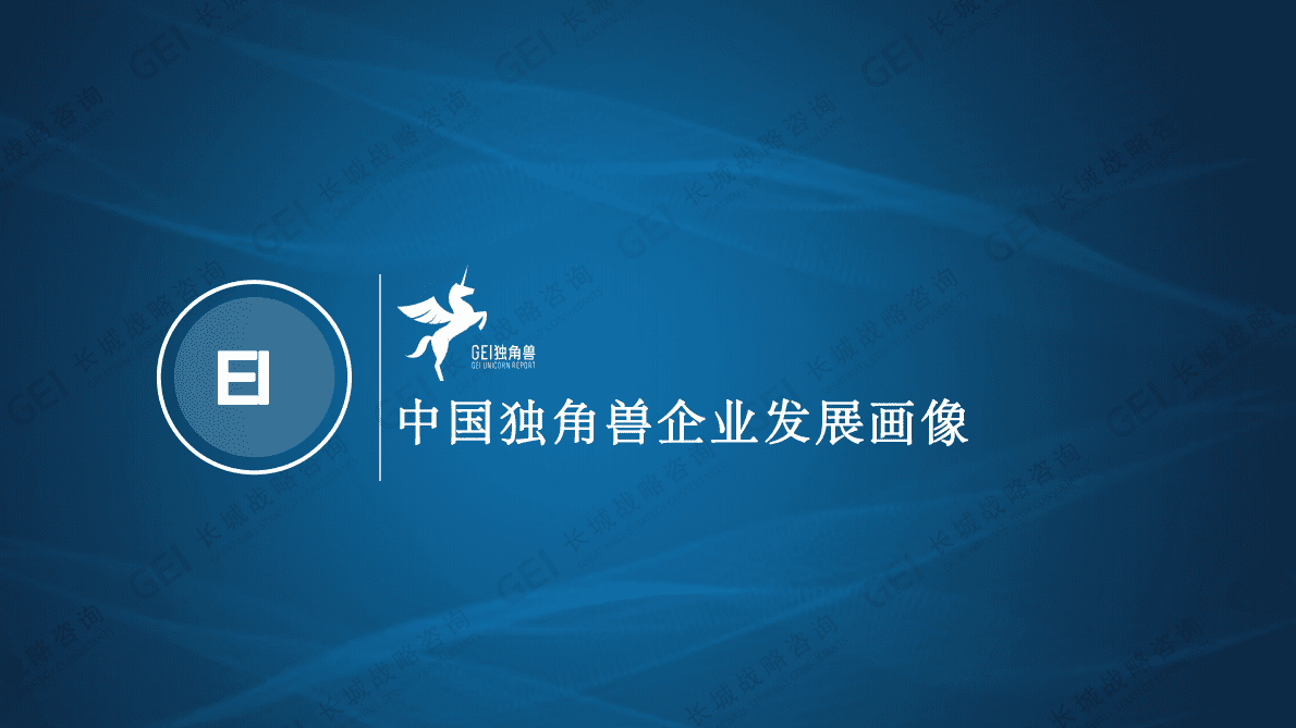 中国独角兽企业研究报告2022 第8页
