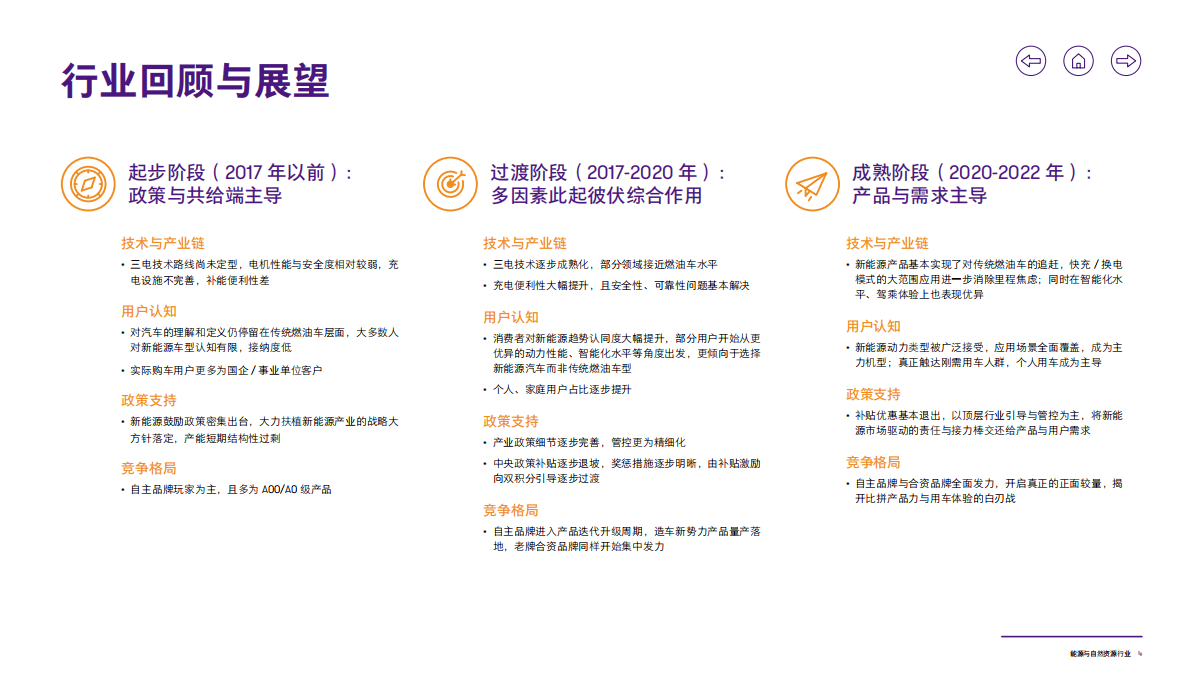 致同咨询：2020年新能源汽车行业洞察 第5页