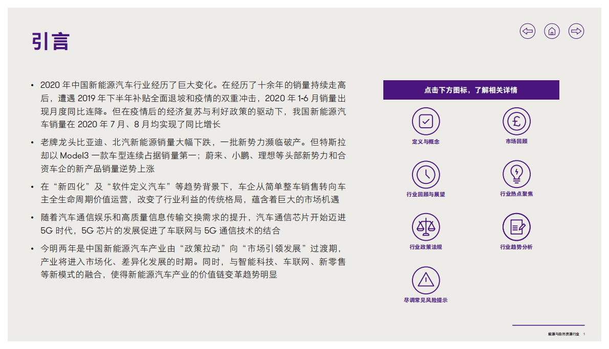 致同咨询：2020年新能源汽车行业洞察 第2页